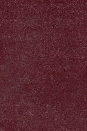 Krátka historia Slovákov