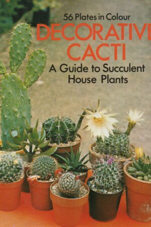 Decorative cacti