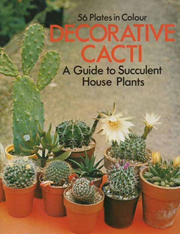 Decorative cacti