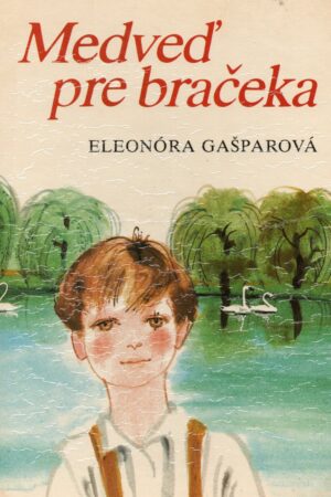 Medveď pre bračeka