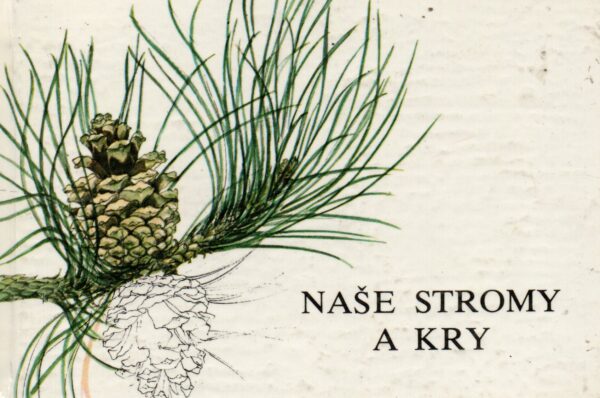 Naše stromy a kry