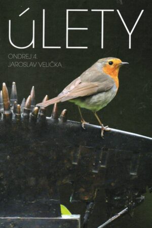 Úlety