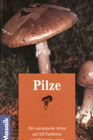 Pilze
