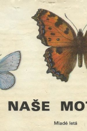 Naše motýle