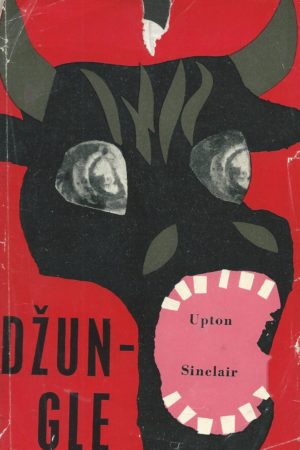 Džungle
