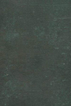Novum testamentum graece