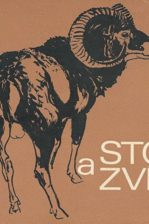 Stopy a zvířata