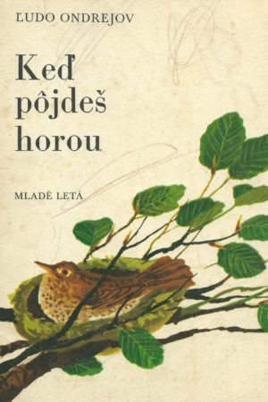 Keď pôjdeš horou