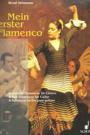 Mein erster Flamenco