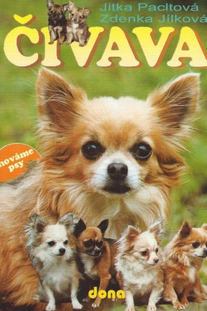 Čivava