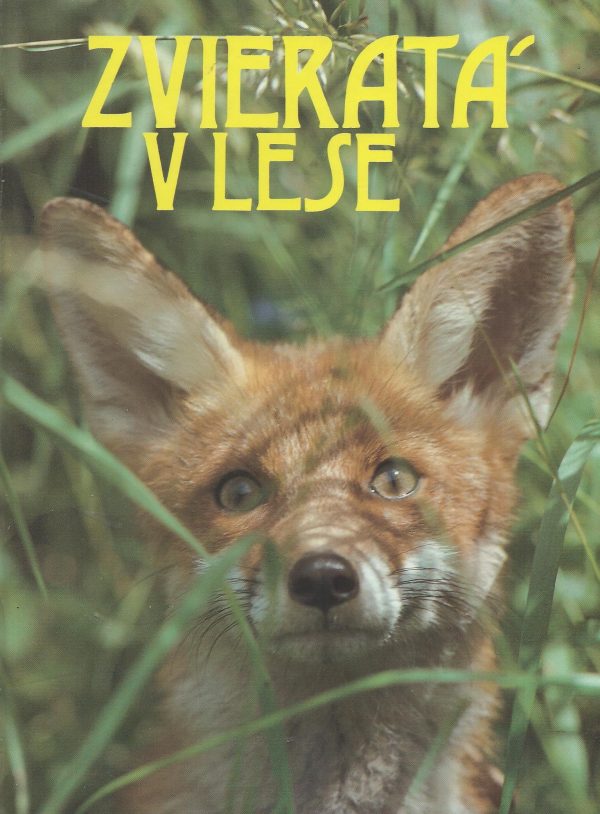 Zvieratá v lese