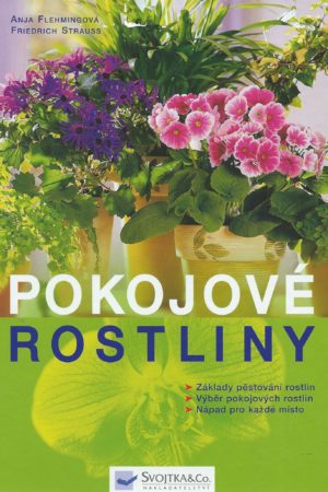 Pokojové rostliny