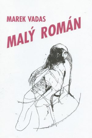 Malý román