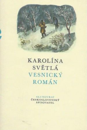 Vesnický román