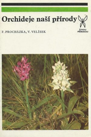 Orchideje naší přírody