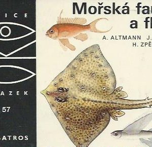 Mořská fauna a flóra