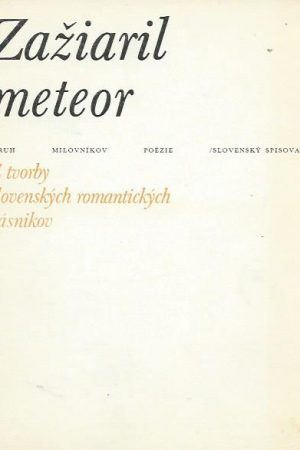 Zažiaril meteor